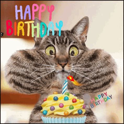 Funny Birthday gifs